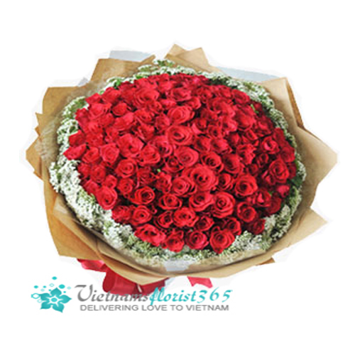 100 Premium Red Roses - Vietnam'sFlorist365